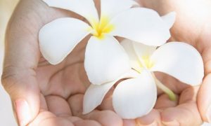 Наше здоровье в наших руках