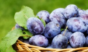Фрукты для роста волос: секреты пышной шевелюры для молодых мам