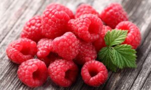 Секреты богатого урожая: как обрезать малину для крупных ягод