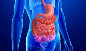 Вредные пищевые привычки: как они портят здоровье кишечника