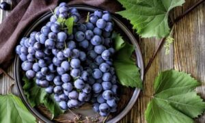 Виноград с косточками: польза и вред для беременных и мам