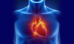 8 шагов к здоровому сердцу для современной женщины