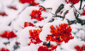 Именины 15 февраля: кого поздравить и как отметить день ангела