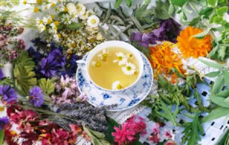 Натуральные средства для красоты лица: домашние рецепты и советы