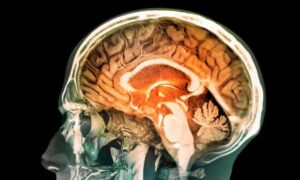 Секреты молодости мозга: 5 привычек для защиты от деменции