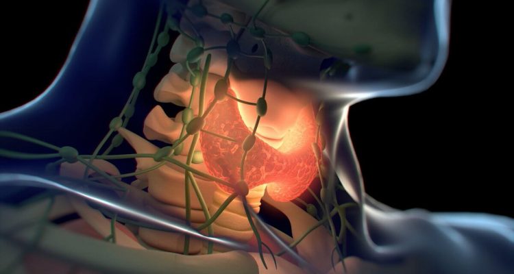 Продукты, которые могут навредить щитовидной железе: что нужно знать будущим и молодым мамам