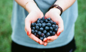 7 доказанных причин добавить чернику в свой рацион для вашего здоровья