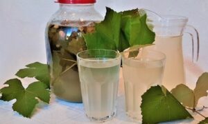 Виноградный квас: освежающий напиток из необычных ингредиентов